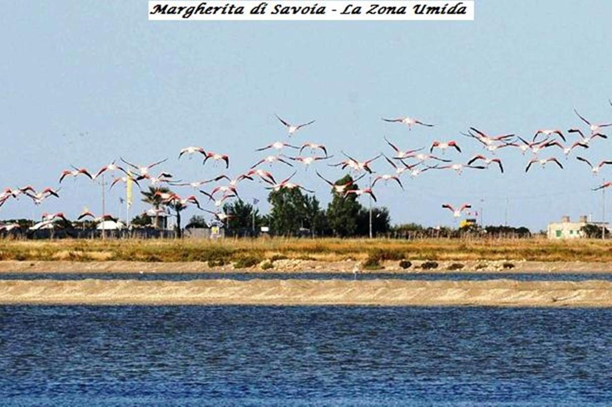 Hotel Tenuta San Francesco Barletta Esterno foto
